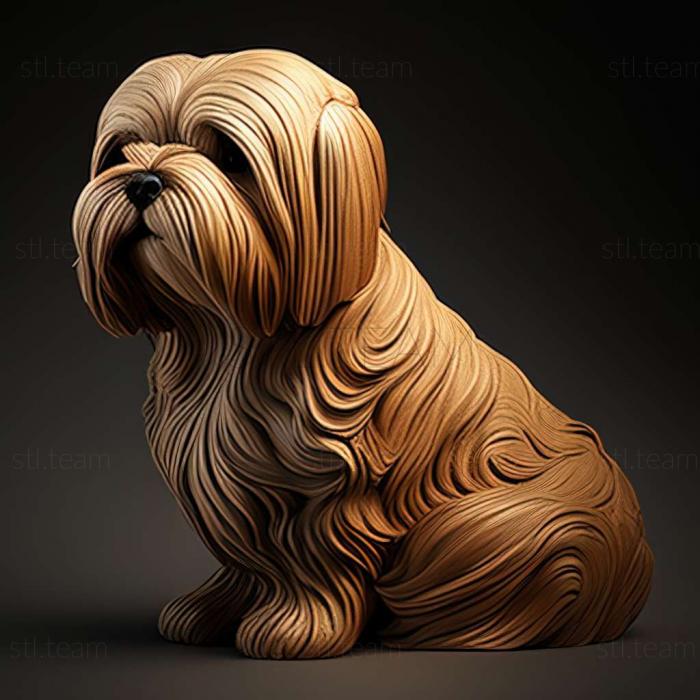 Animals Lhasa APSO dog